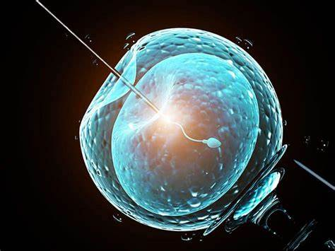 IVF