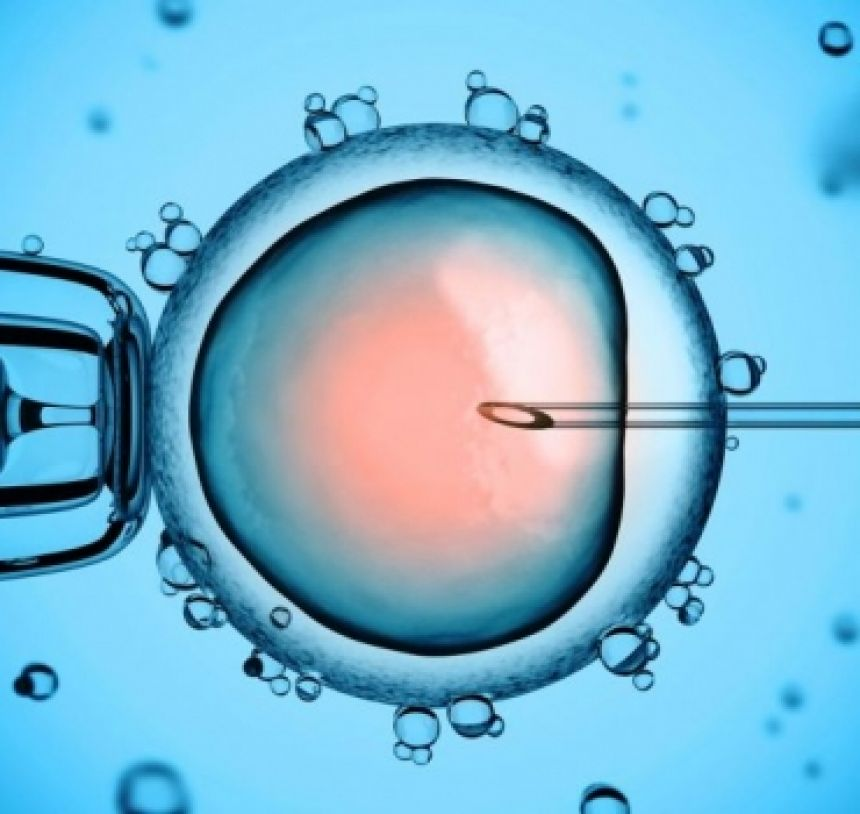 Egg Donation and IVF